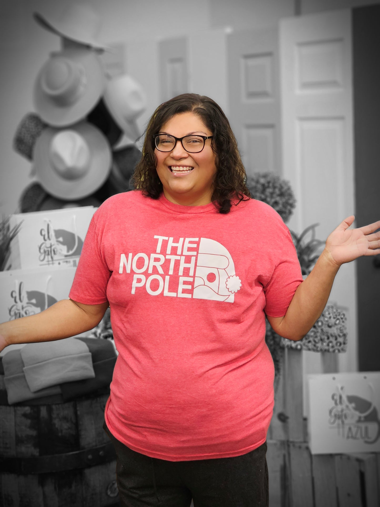 The North Pole
