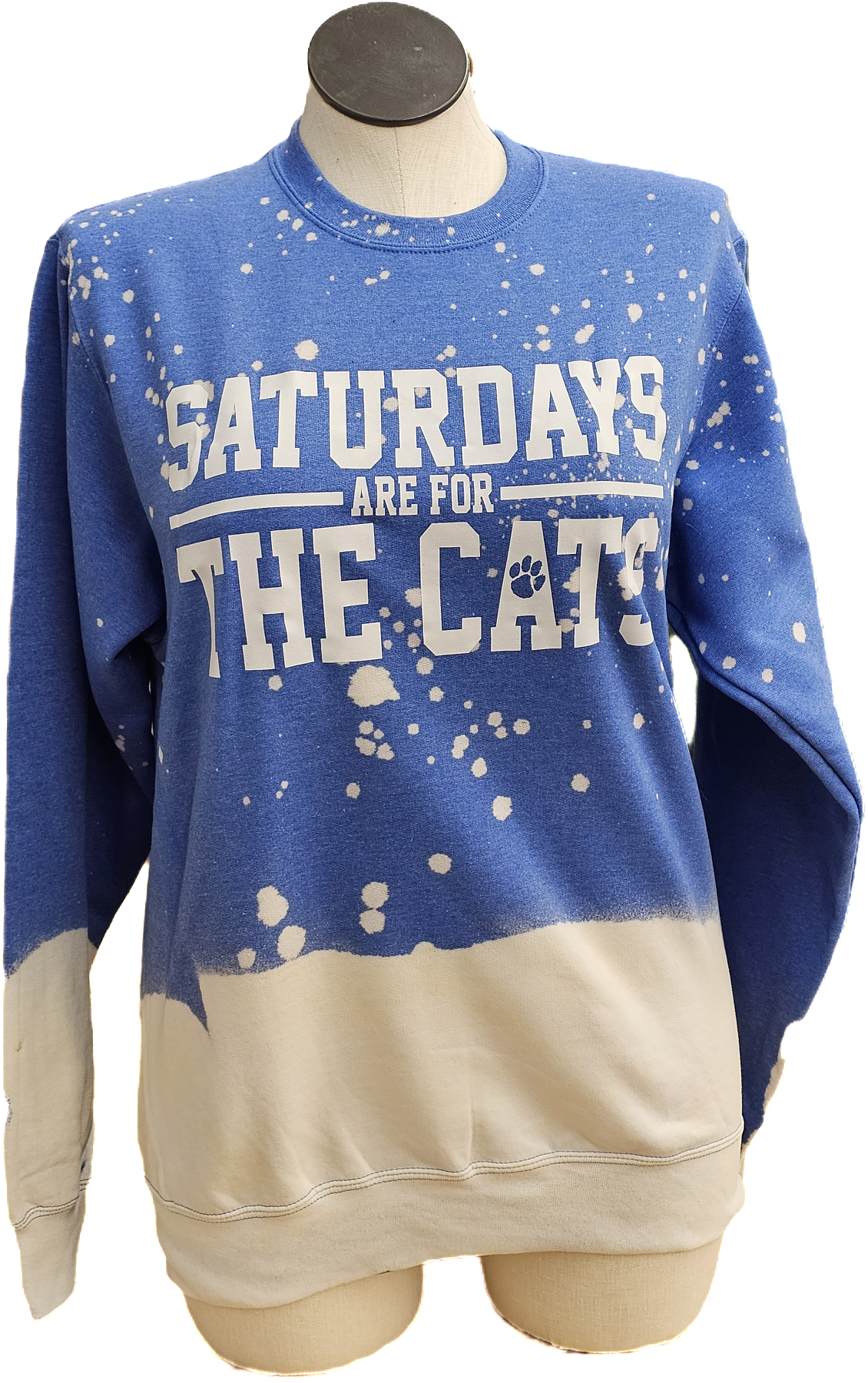 SATURDAYS Are For The CATS