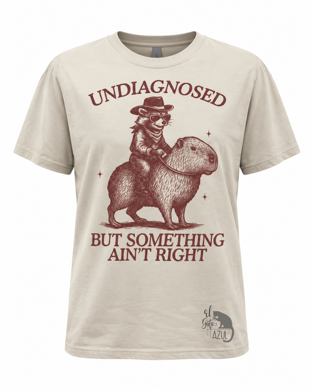 Undiagnosed Something Aint Right